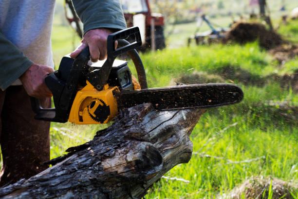 Lawn Watering Services in North Tunica, MS